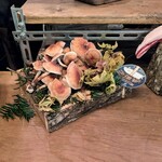 Seminare 輕井澤 - クリタケに砲弾鰤