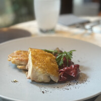 GENTLE Dining - 