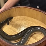 銀座 四代目 高橋屋 - 