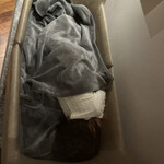 THE HIRAMATSU 軽井沢 御代田 - 