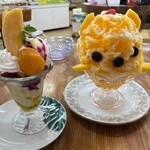 マンゴーの森 - マンゴーの森