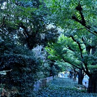 キハチ 青山本店 - 