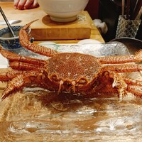 銀座 蟹 あかつき - 