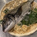 割烹居酒屋 ｢M｣ - 