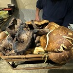 松蔭鶴水 - 松茸香茸