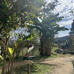 森のレストラン ラッキーガーデン - 