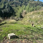 森のレストラン ラッキーガーデン - 