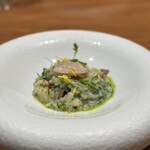 オルタンシア - 