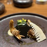 オルタンシア - 