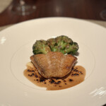 ラシェット・ブランシュ - 