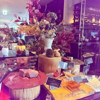 XEX TOKYO / Salvatore Cuomo Bros. - 