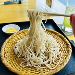Handmade soba & udon SuNami  - 鴨汁せいろ