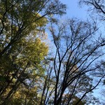 小瀬温泉ホテル - 