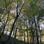 小瀬温泉ホテル - 