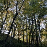 小瀬温泉ホテル - この辺に鹿が二頭いた！親子かな、夫婦かな