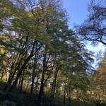 小瀬温泉ホテル - 