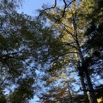 小瀬温泉ホテル - 