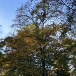 小瀬温泉ホテル - 