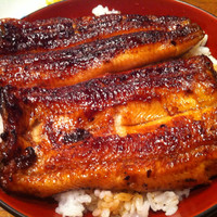 吉寅 - 