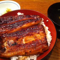 吉寅 - うな丼定食
