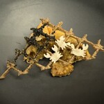 プレゼンテ スギ - 