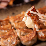 ギョウザバー・りん屋 - 料理写真:ギョウザの盛り合わせ（写真は4人前）