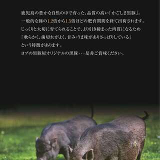 正真正銘のかごしま黒豚を使用！
