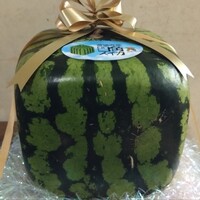 表参道 バッカス - 