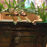 赤坂 菊乃井 - あゆ