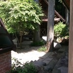 Tarobeju - 杉の巨木に囲まれた離れではヨガ教室が開催されるそうです。