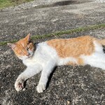 山の下 古民家ゲストハウス&珈琲豆工房 まつば - 