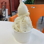 妻有のジェラートショップ ピオーネ - 料理写真:ジェラートカップダブル490円（十日町産ゴールドキウイと小布施の栗）