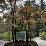 サントリー白州蒸溜所 - 白州の森は紅葉していて綺麗でした