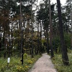 サントリー白州蒸溜所 - 白州の森は癒される