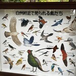 サントリー白州蒸溜所 - 