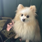 ナマステQ軽井沢 - 