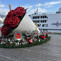 THE KOBECRUISE コンチェルト - 