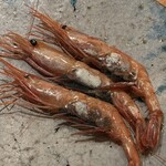 MANO - ・富山から子持ち甘海老
      （適宜霧吹きしながらじっくりと薪焼きに）
      
      ・塩漬けで2ヶ月熟成した甘海老の卵
      ・クリーム
      ・レモンバーム、レモングラス