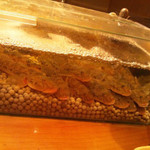 石臼挽き手打 蕎楽亭 - 