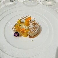 ジョンティ アッシュ - 