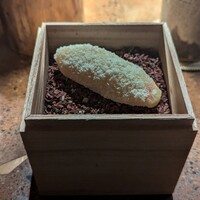 RAMA 白金 - 