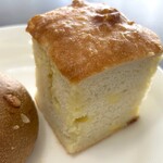 베이글노 미세 모구