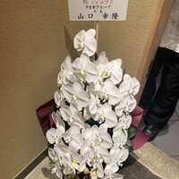 日本料理 柳燕 - 