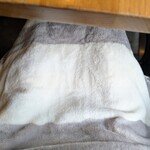 ベジバル チバットリア - 温かいブランケットも貸してくださいました(⁠ ⁠◜⁠‿⁠◝⁠ ⁠)⁠♡