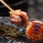 鳥さわ22 - ソリレス