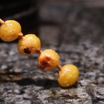 鳥さわ22 - ぎんなん