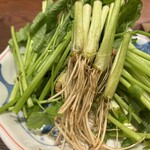 炉ばた 海彦山彦 - 