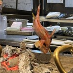 炉ばた 海彦山彦 - 