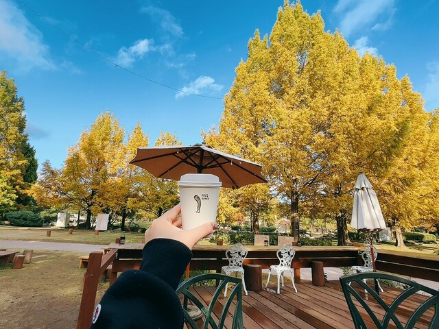 SUNNY SITE COFFEE（サニーサイトコーヒー） - 泉中央（カフェ）の写真