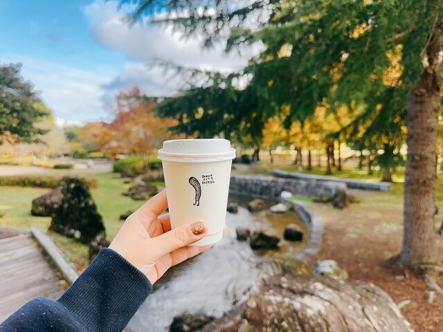 SUNNY SITE COFFEE（サニーサイトコーヒー） - 泉中央（カフェ）の写真